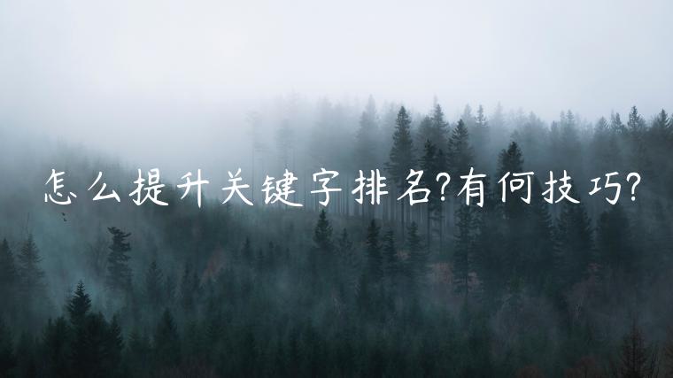 怎么提升關(guān)鍵字排名?有何技巧?